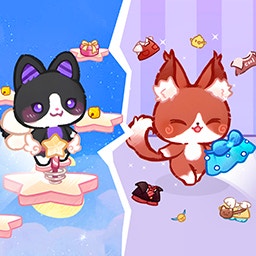 Lovely Cat Pet Life